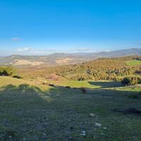 Azienda agricola 1000 ha Pisa Toscana