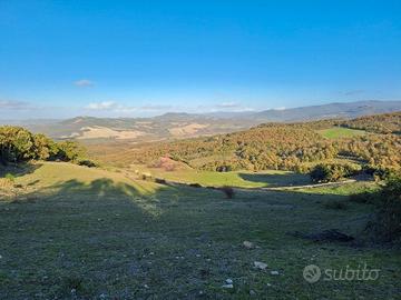 Azienda agricola 1000 ha Pisa Toscana