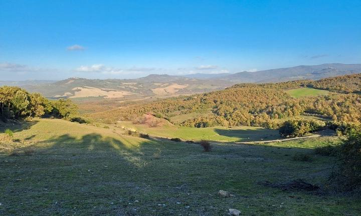 Azienda agricola 1000 ha Pisa Toscana
