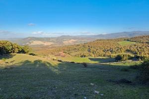 Azienda agricola 1000 ha Pisa Toscana