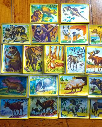 Figurine album ANIMALI FLASH 1980 ed. Lampo