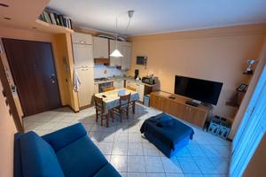 Bilocale Ronco Briantino