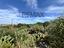 Immagine 10