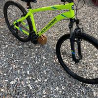 bicicletta st 100 rockrider