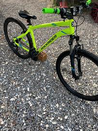 bicicletta st 100 rockrider