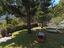 Immagine 14