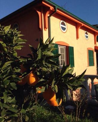 Villa di 400 m² con più di 5 locali e box auto a V
