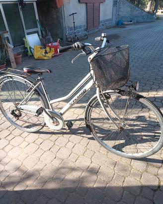 bici da donna marca Vicini