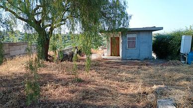 Terreno edificabile immerso nella natura a Paternò
