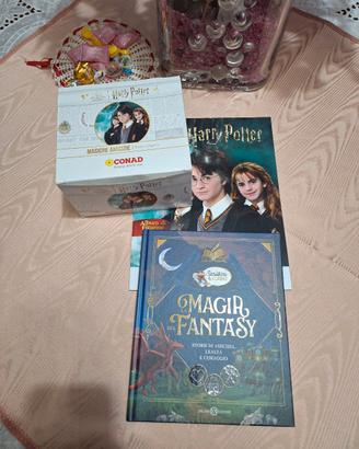 Album vuoto Harry Potter con scatola 