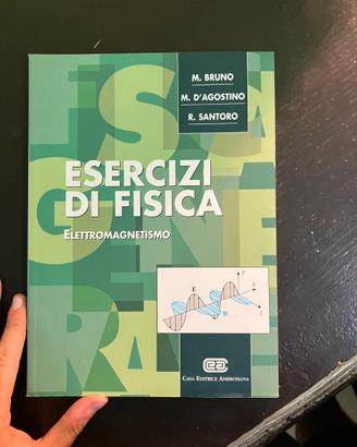 ESERCIZI FISICA ELETTROMAGNETISMO BRUNO AGOSTINO S