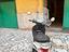 Immagine 2
