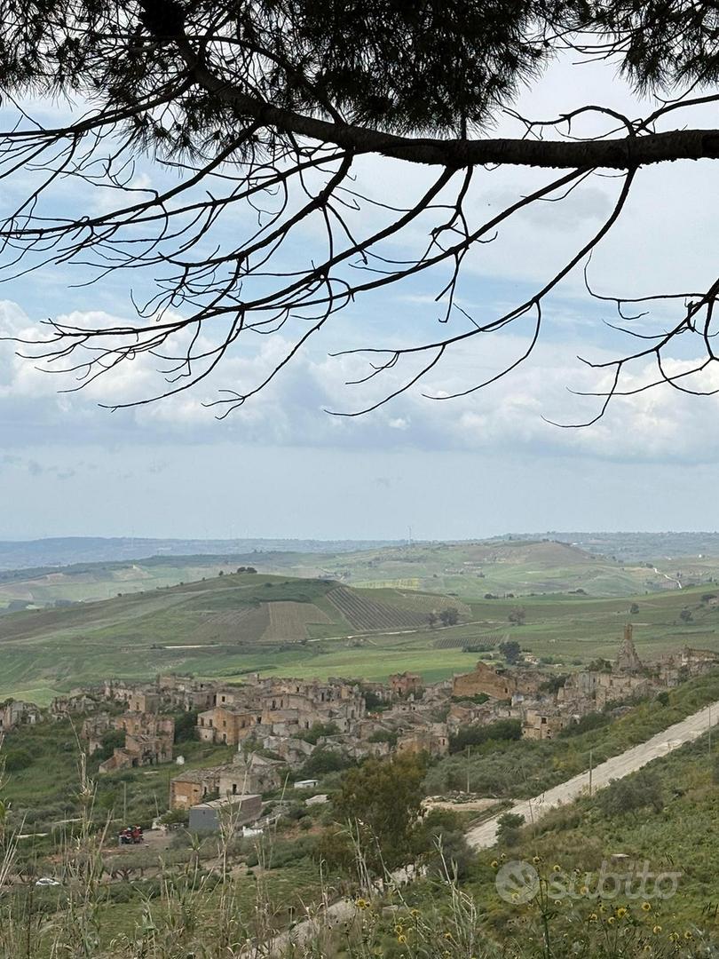 Terreno agricolo comune Poggioreale TP - Vista 3