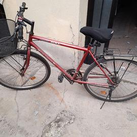 2xBiciclette rampichino