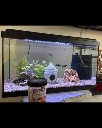 Acquario 60 L