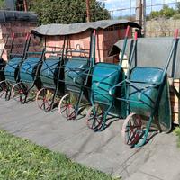 carriola robusta da giardino 