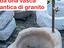 Immagine 18