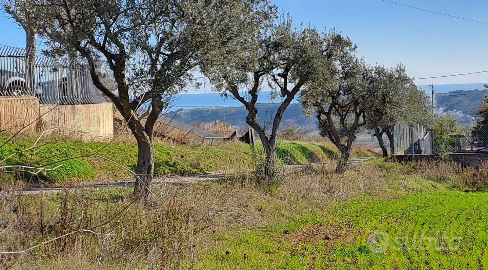 Casale / Rustico - Massignano - Vista 4