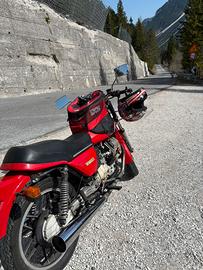 Moto Guzzi V65SP anno 1982