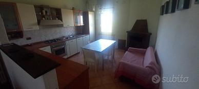 Appartamenti disponibili