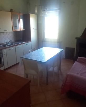 Appartamenti disponibili