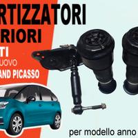 Ammortizzatori  posteriori Citroen C4 Grand Picass