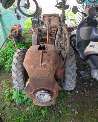 Motocoltivatore Pasquali 