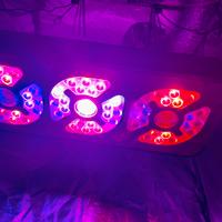 Pannello led Ortoled