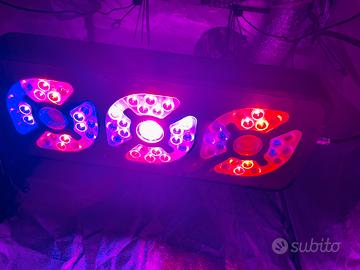 Pannello led Ortoled