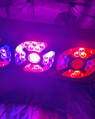 Pannello led Ortoled