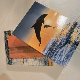 Completo letto Bassetti una piazza tema delfino