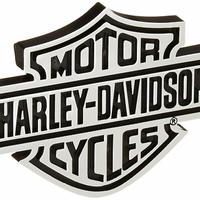 FREGI HARLEY DAVIDSON logo SCHIENALE SCHIENALINO S