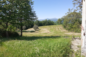 Terreni agricoli con annessi a semproniano