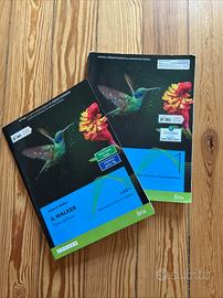 Il Walker : Cinematica, Dinamica, Termodinamica