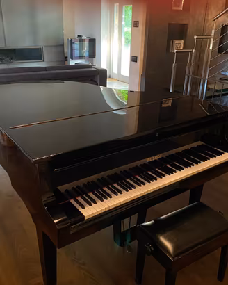 pianoforte a coda Petrof