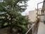 Immagine 15