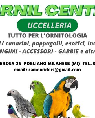 ORNITOLOGIA ACCESSORI GABBIE UCCELLI