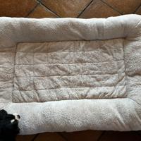 Cuscino maxi cane