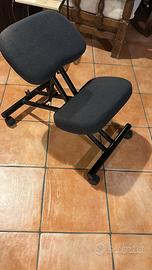 Seduta ergonomica