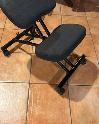 Seduta ergonomica