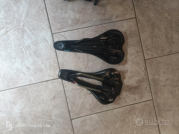selle caronio. prologo.
