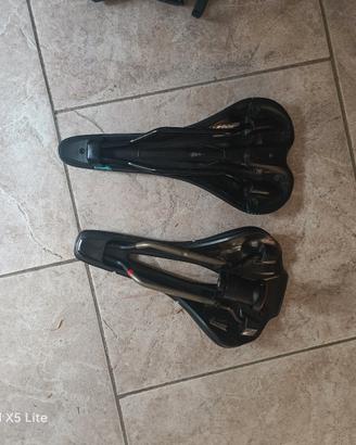 selle caronio. prologo.