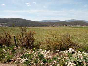 Lotto terreno mq 11000 c.a