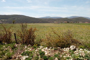 Lotto terreno mq 11000 c.a