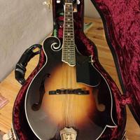 mandolino morgan monroe