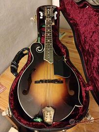 mandolino morgan monroe