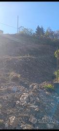 Terreno edificabile