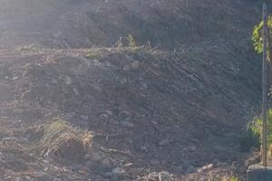 Terreno edificabile