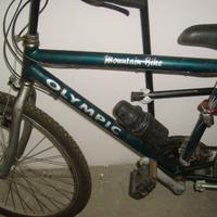 BICY MONTAINBIKE COLORE VERDE A 60 EURO