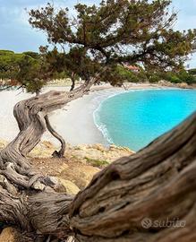 Estate nel meraviglioso Golfo di Orosei